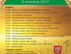 Ilustracja do artykułu: Dożynki Gminne 2017