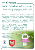 Ilustracja do artykułu: Jedno Dziecko - jedno drzewo