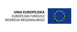 Ilustracja do artykułu: E - aktywni mieszkańcy województwa dolnośląskiego i lubuskiego