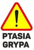 Ilustracja do artykułu: UWAGA - PTASIA GRYPA